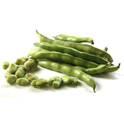 Broad Beans Egypt 1 Kg