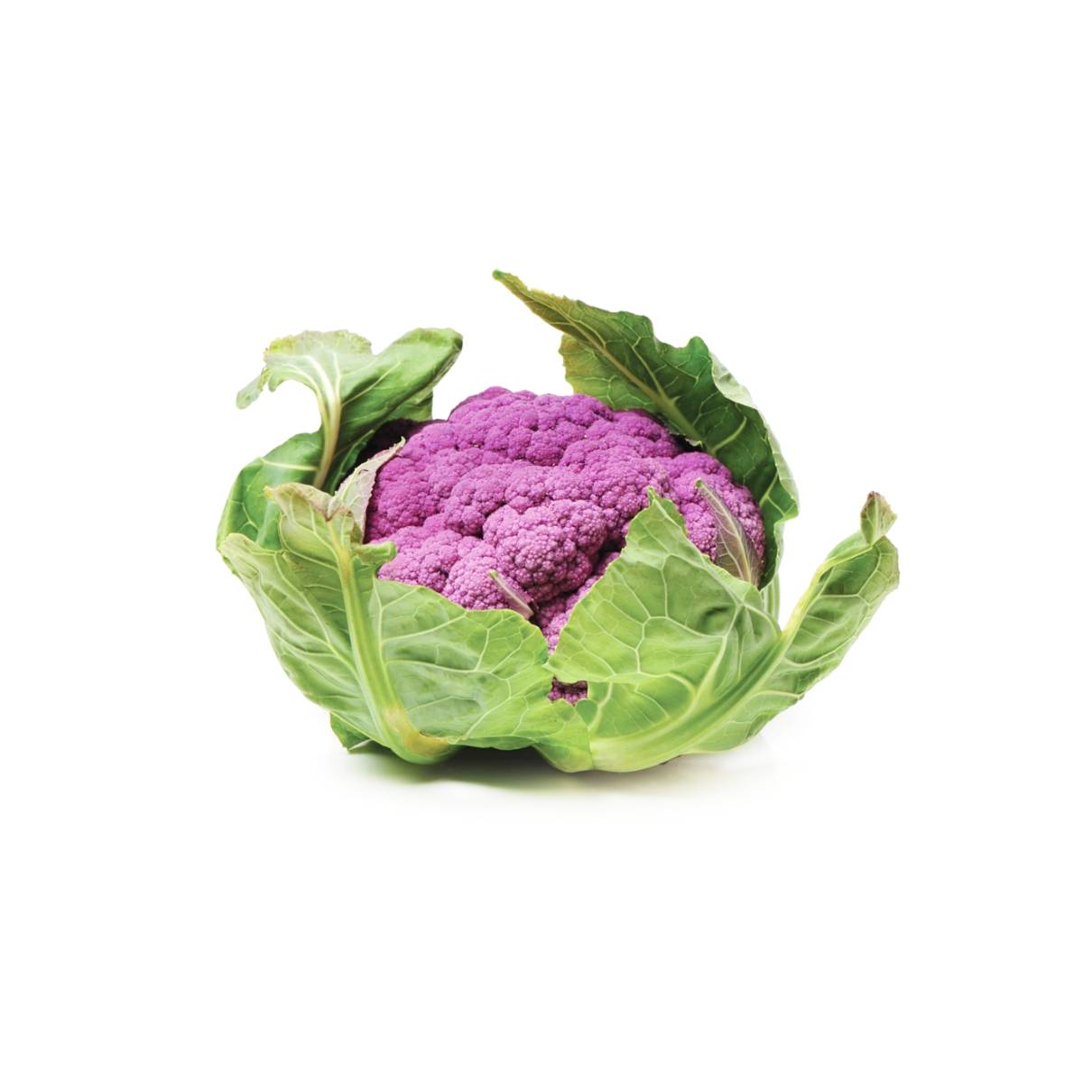 Cauliflower Purple Netherlands 600g-800g Piece