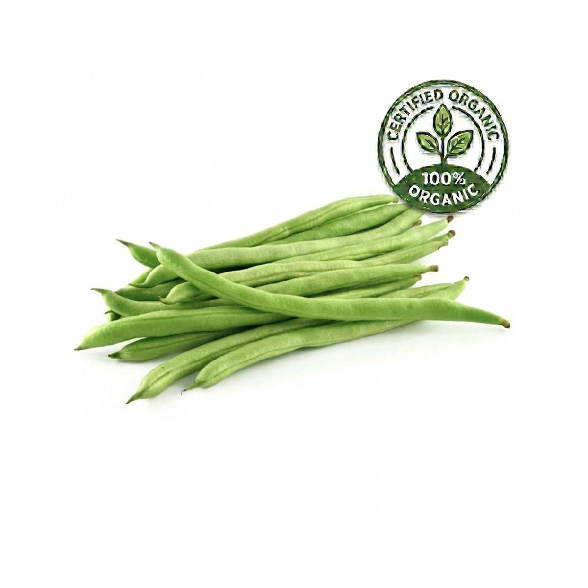 Organic Green Beans Uae 300g Pack