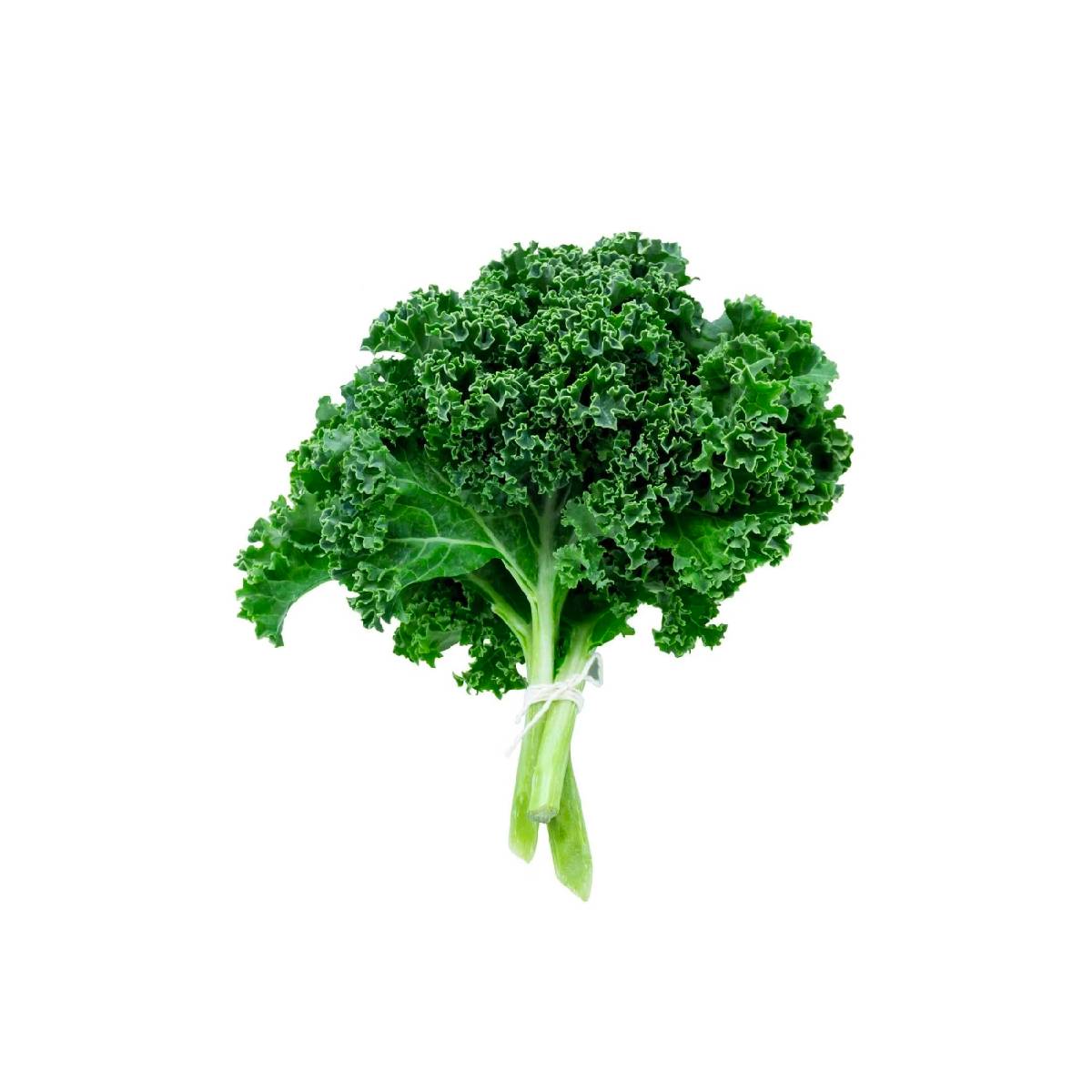 Kale Organic Uae 150g-250g Pack