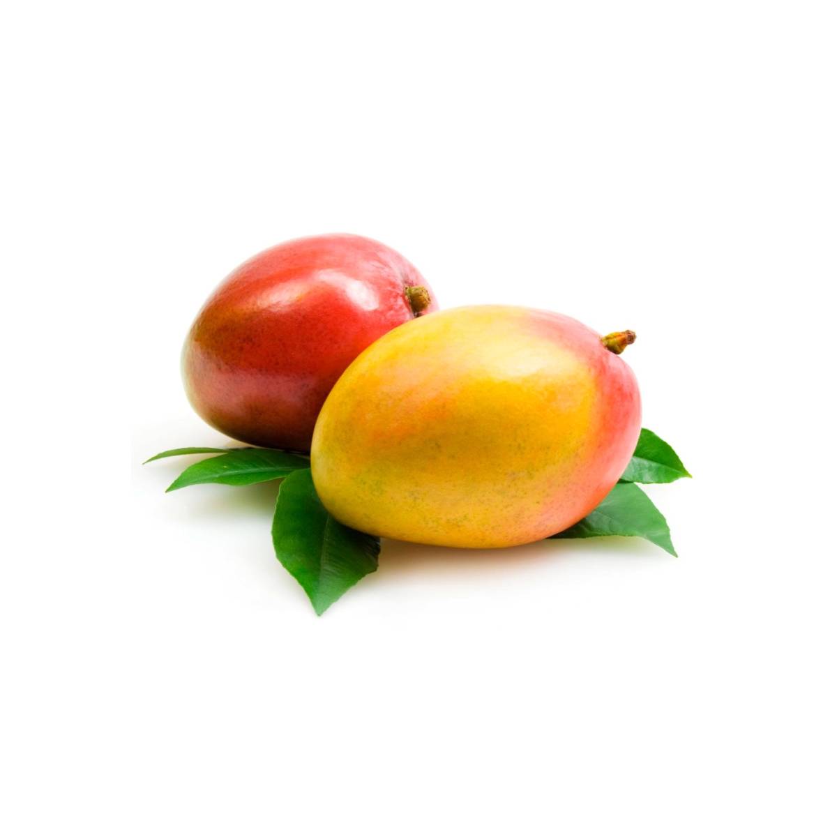 Mango Kent Peru 500Gm