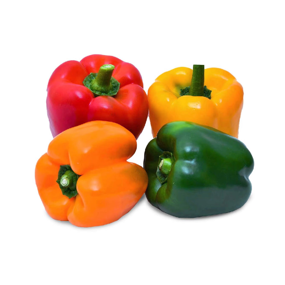 Capsicum Mix Uae 400g Bag