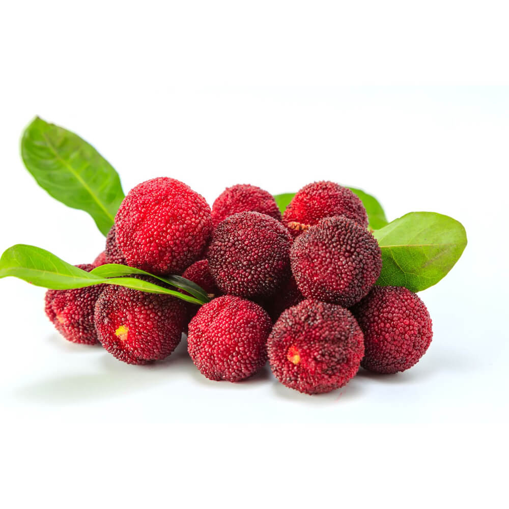 Wax Berry China 2500g Box