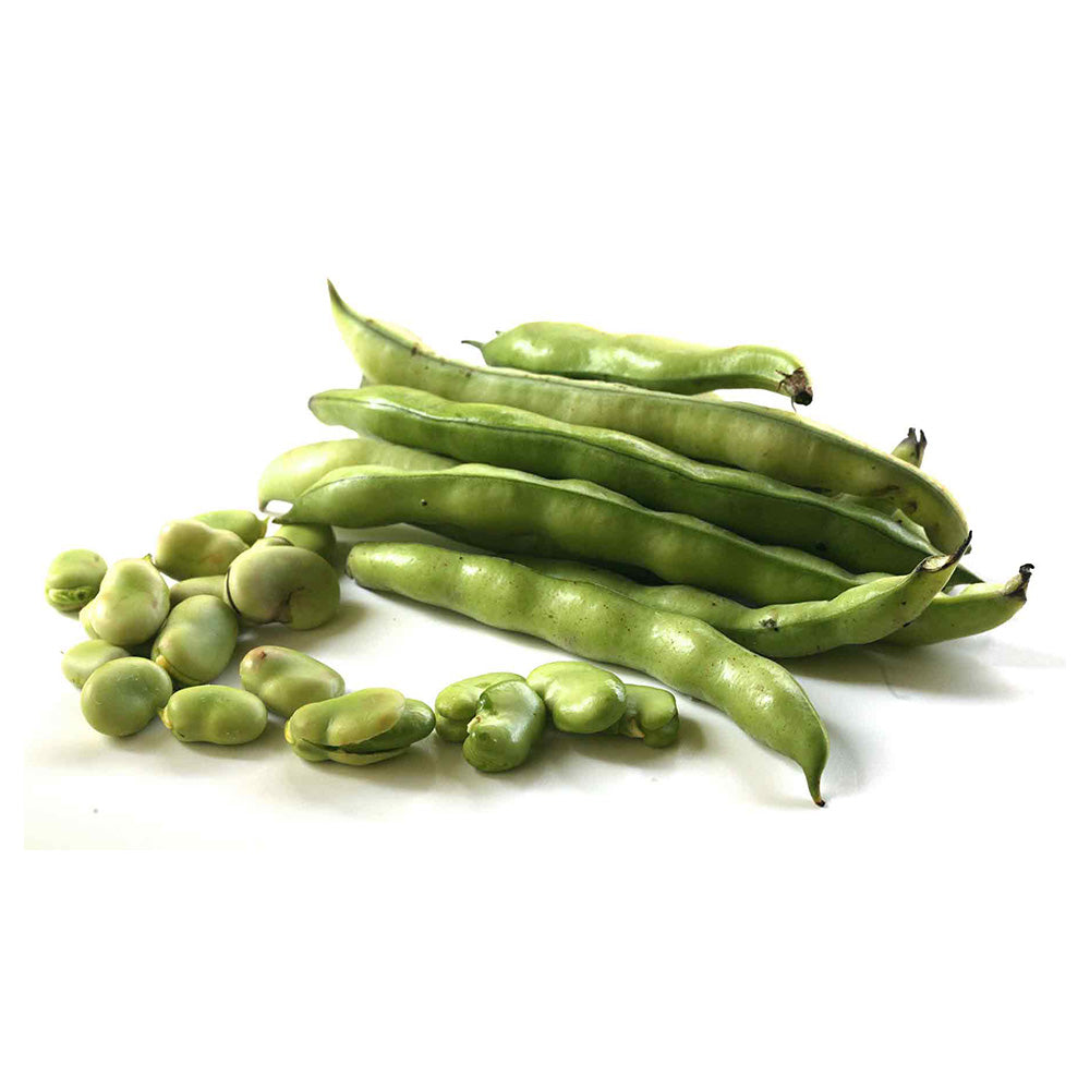 Broad Beans Lebanon 800g Pack