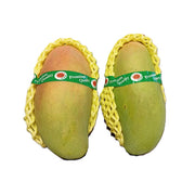 Yellow Mango Mahachanak Unripe Thailand 500g
