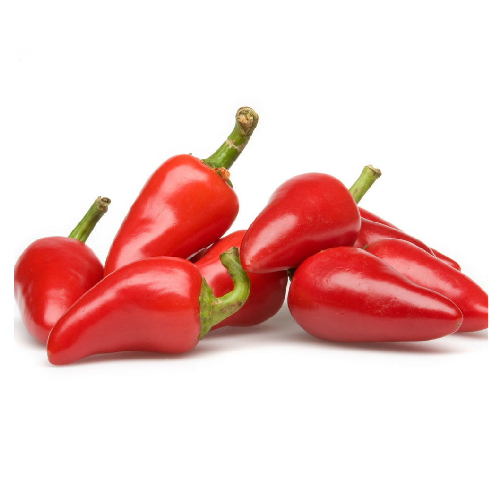 Chili Red Jalapeno Lebanon 250g