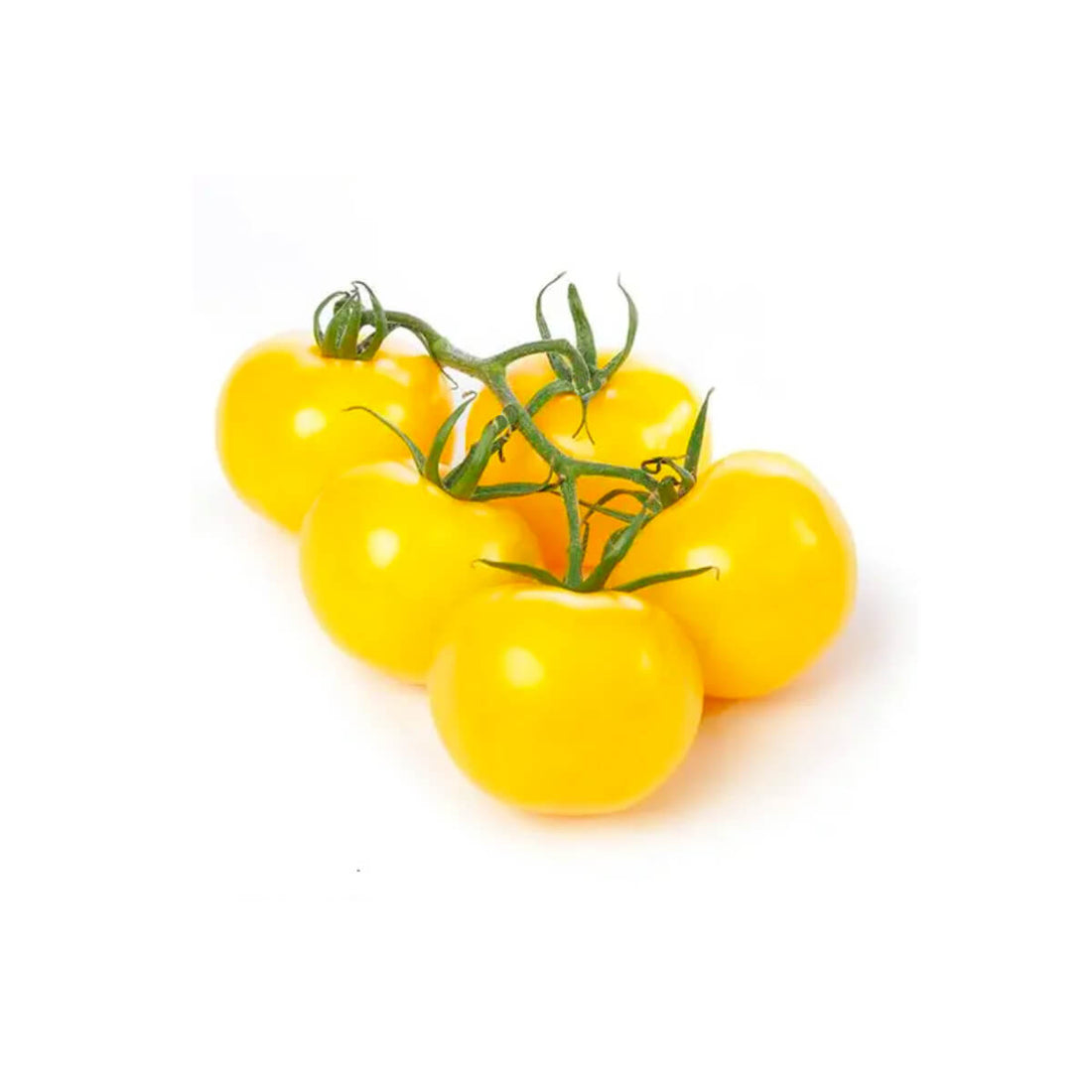 Tomato Bunch Yellow