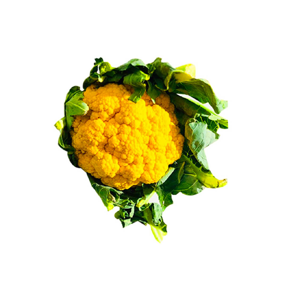 Cauliflower Orange Netherlands 600g-800g Piece