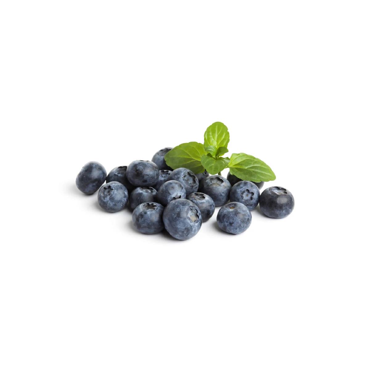Blueberry Romania 150gm Pack