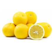 Grapefruit White South Africa 350g-450g Piece
