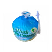 Coconut With Pull Tab Vietnam 1 Piece