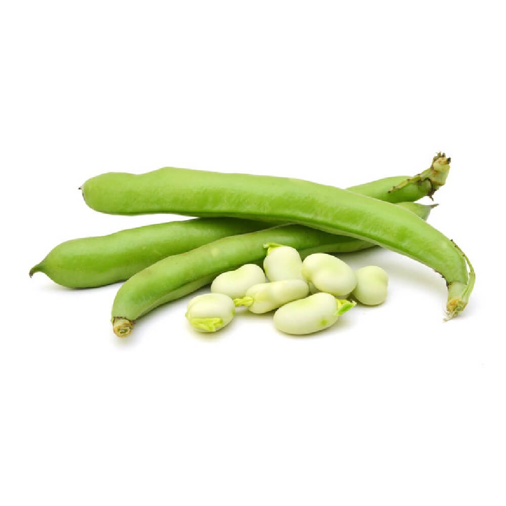 Broad Beans Lebanon 500g
