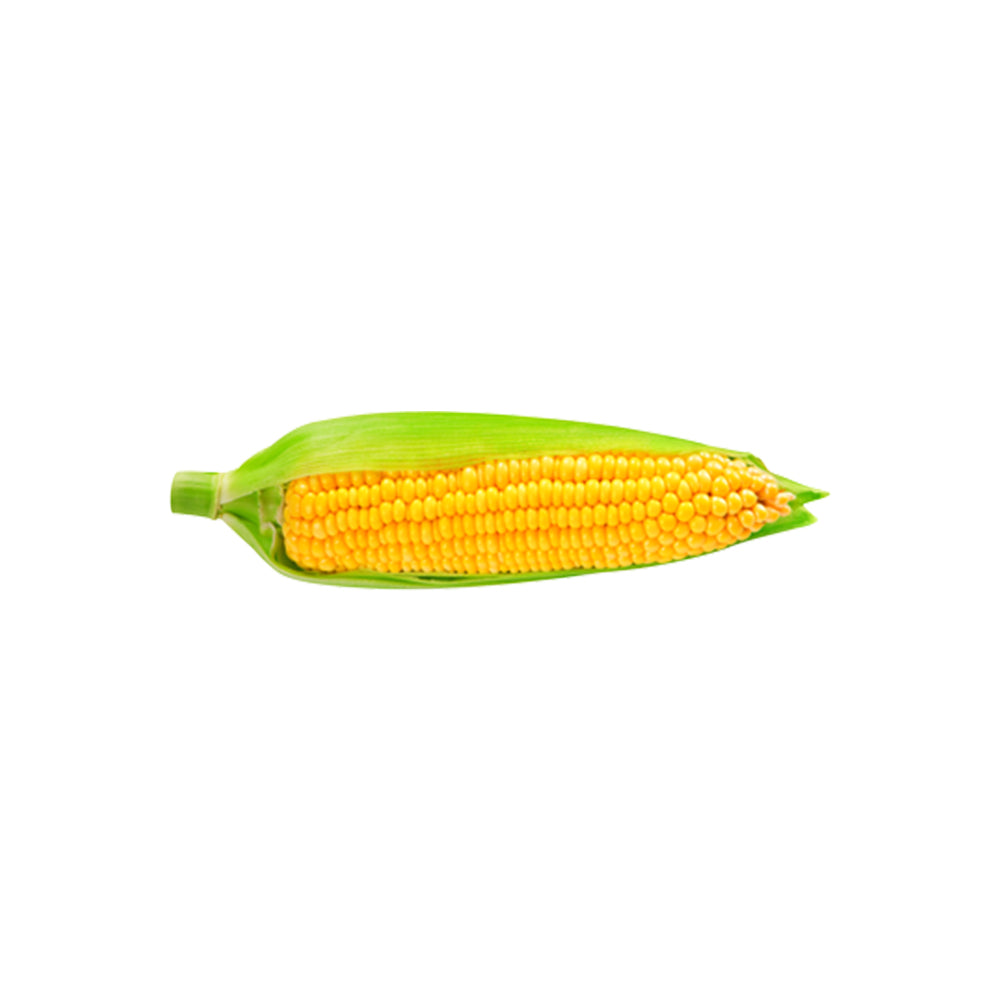 Sweetcorn Pico Egypt 250g Pack