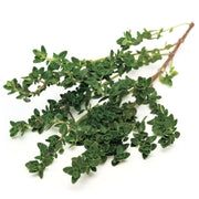 Thyme Palestine 500g