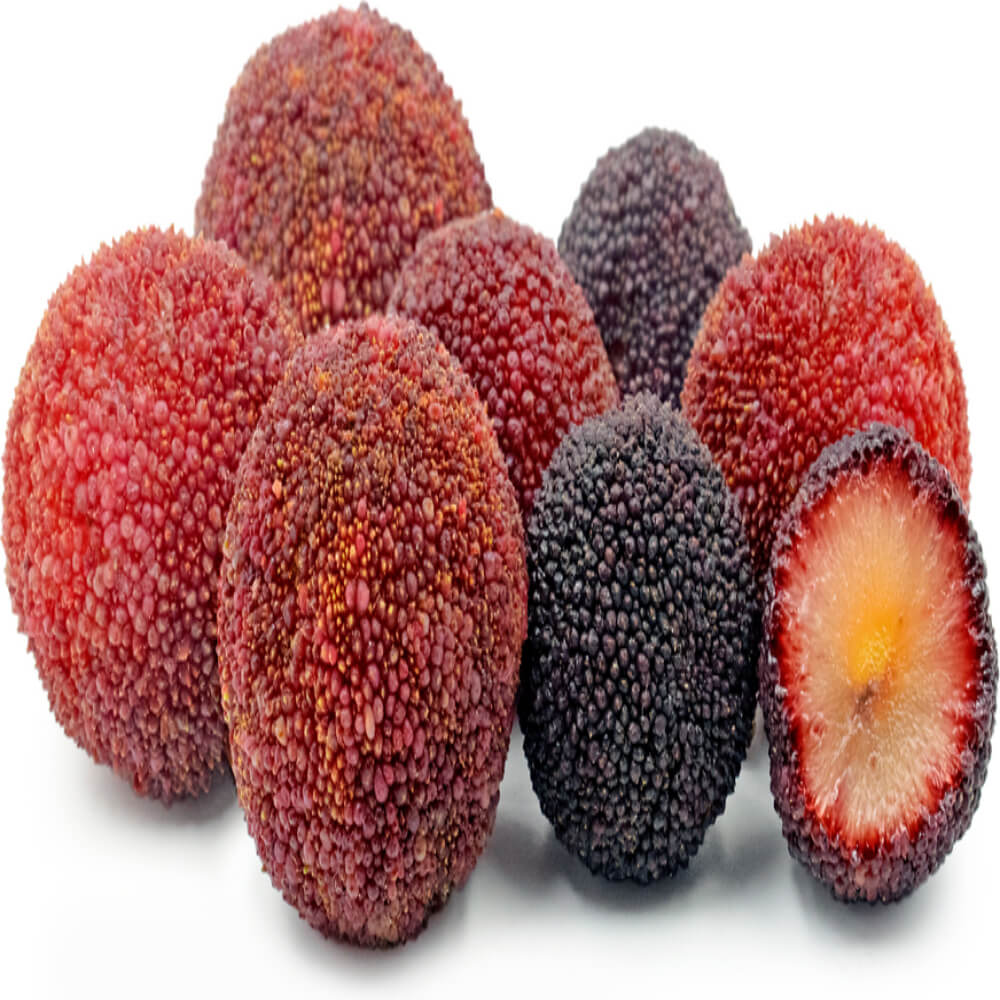 Wax Berry China 1250g Box