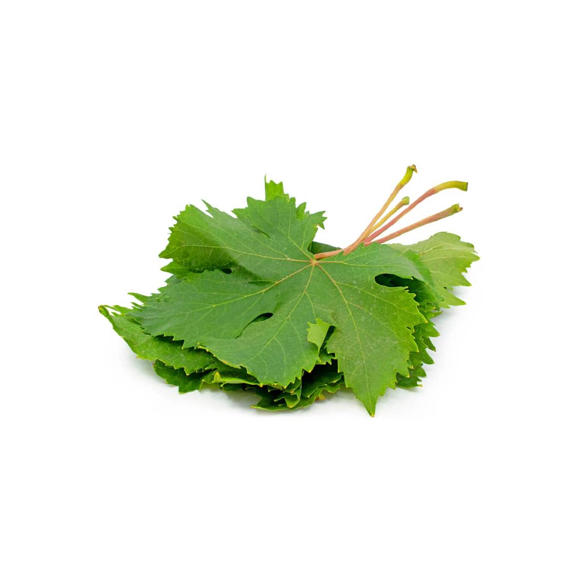 Grapes Leaves Lebanon 250g