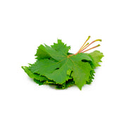 Grapes Leaves Lebanon 250g
