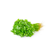 Coriander Premium Uae 1 Bunch