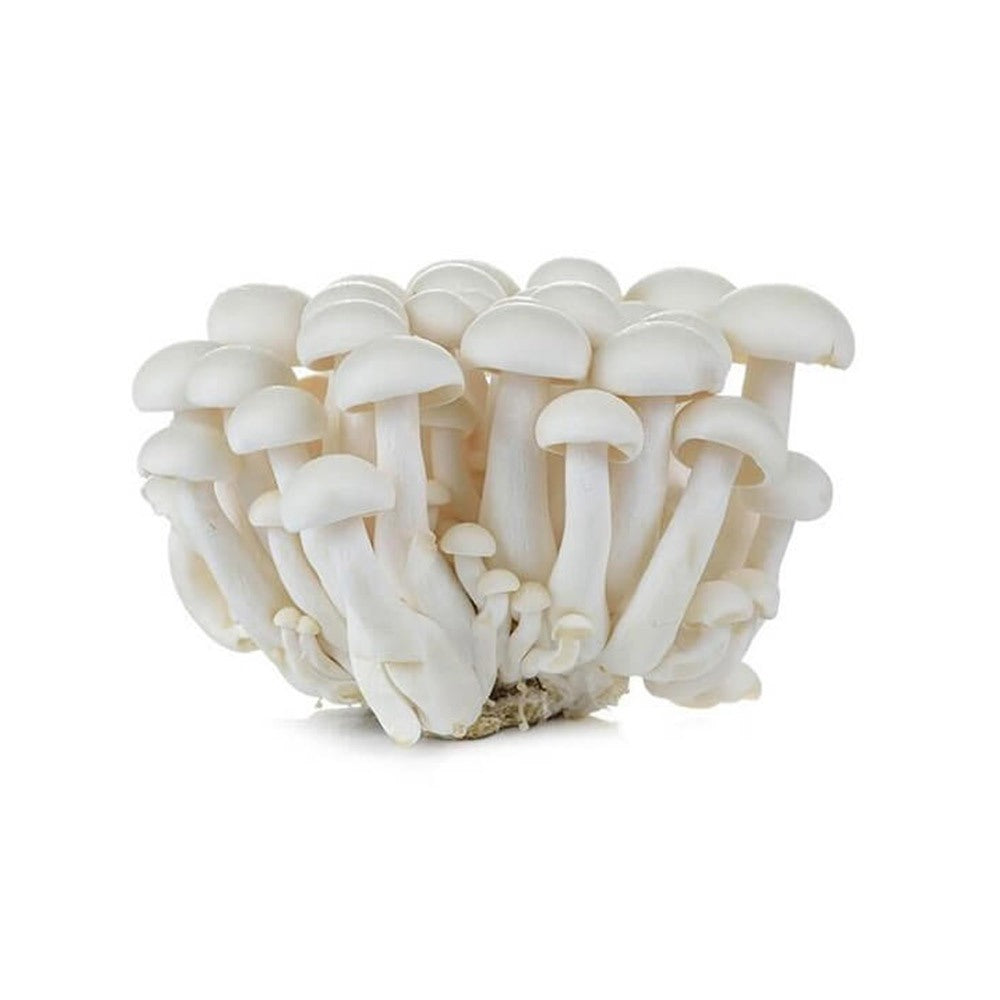 Mushroom Shimeji White China 150g Pack