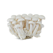 Mushroom Shimeji White China 150g Pack