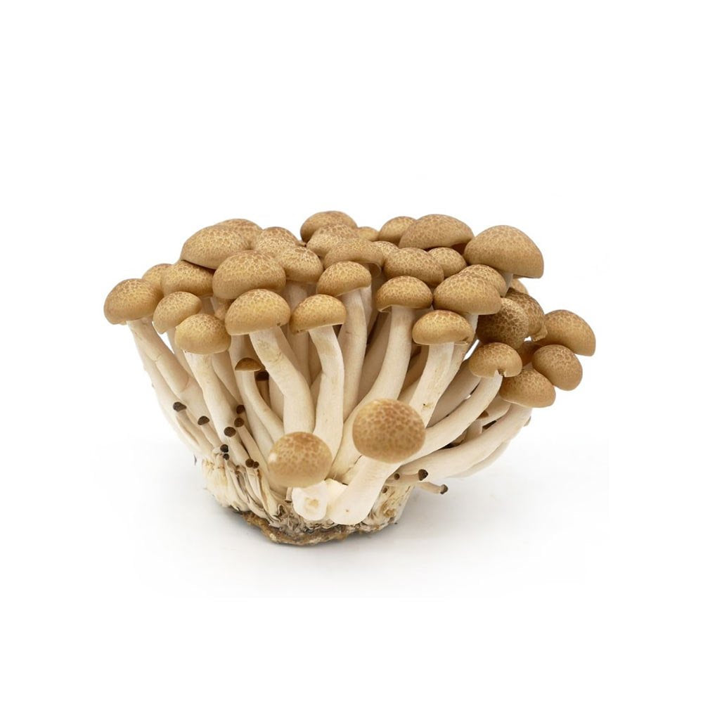 Mushroom Shimeji Brown China 150g Pack