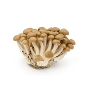 Mushroom Shimeji Brown China 150g Pack