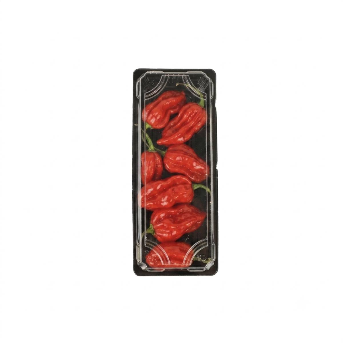 Habanero Pepper Red Netherlands 100g Pack