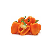 Habanero Pepper Orange Netherlands 100g Pack