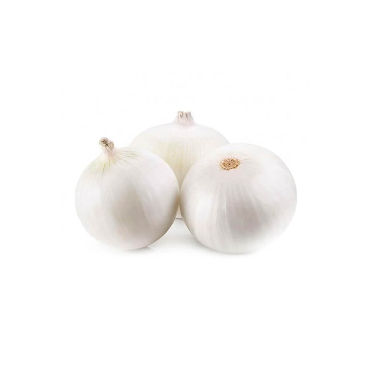 Onion White Lebanon 500g