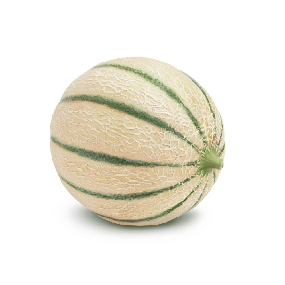 Cantaloupe Melon Spain 1.2-1.7Kg Piece