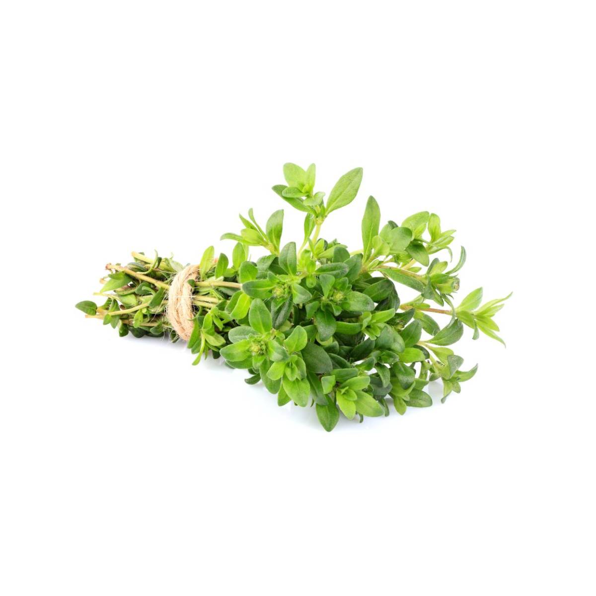 Thyme Lebanon 250g