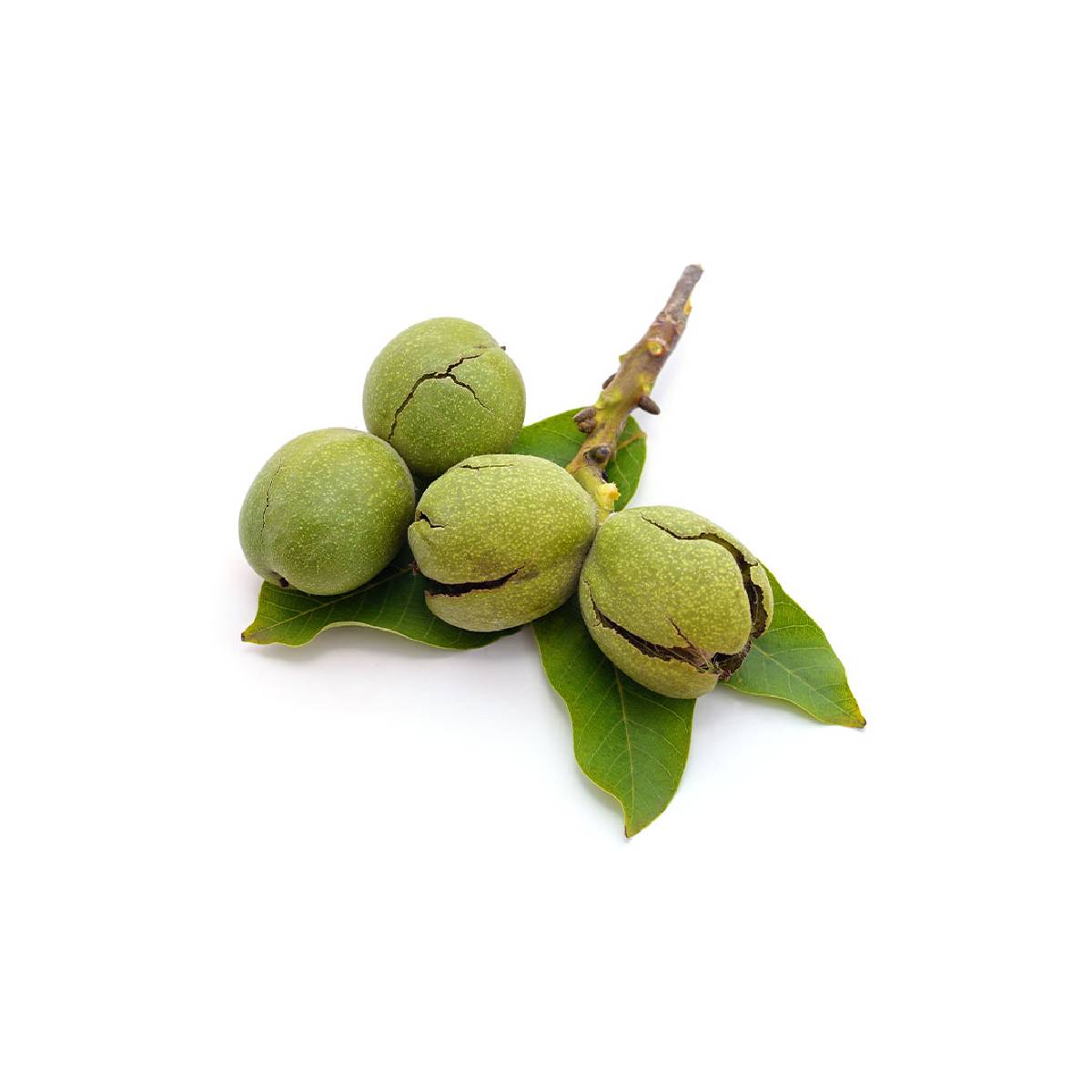 Walnut (Jooz) Lebanon 1 Kg