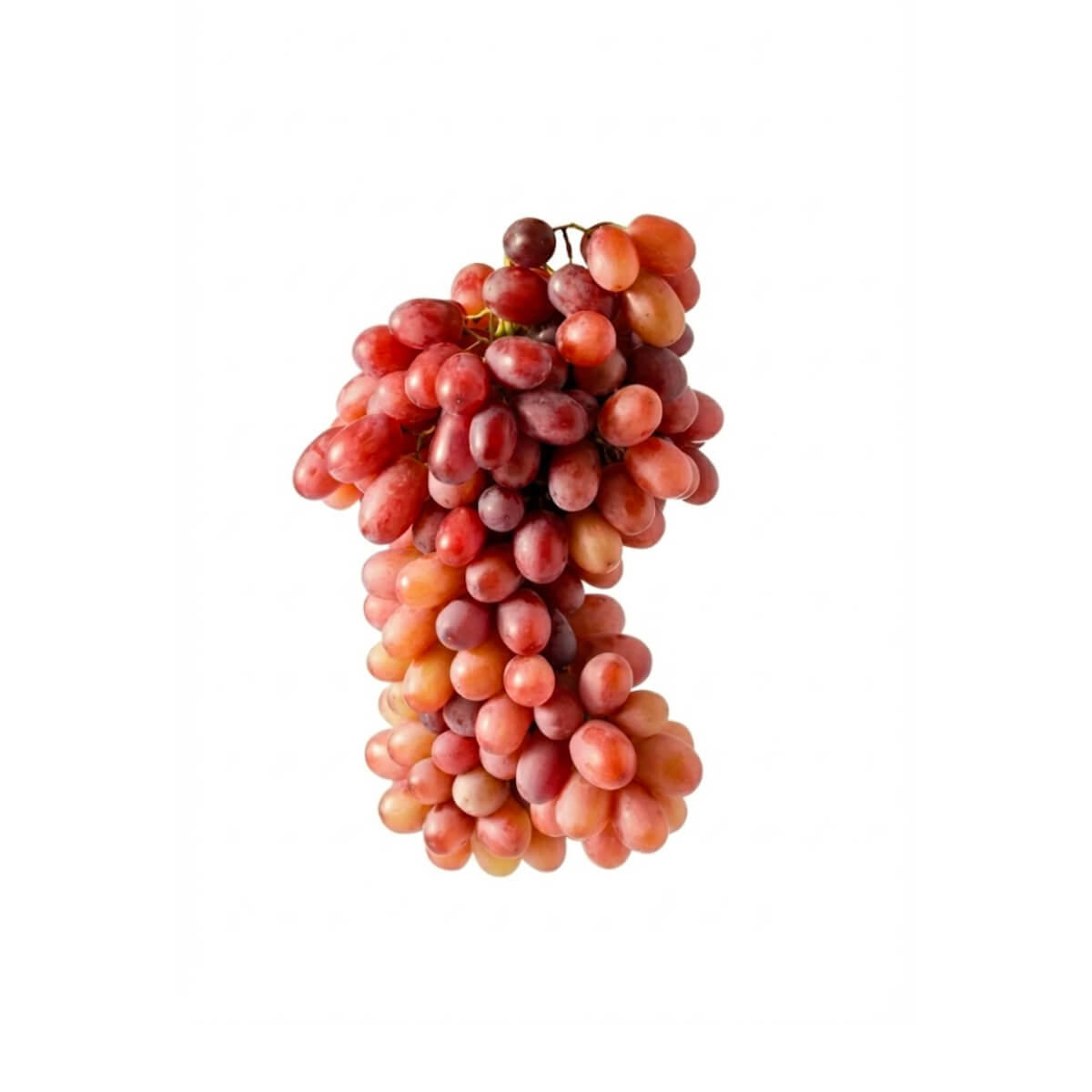 Grapes Red Globe Uzbekistan 500g