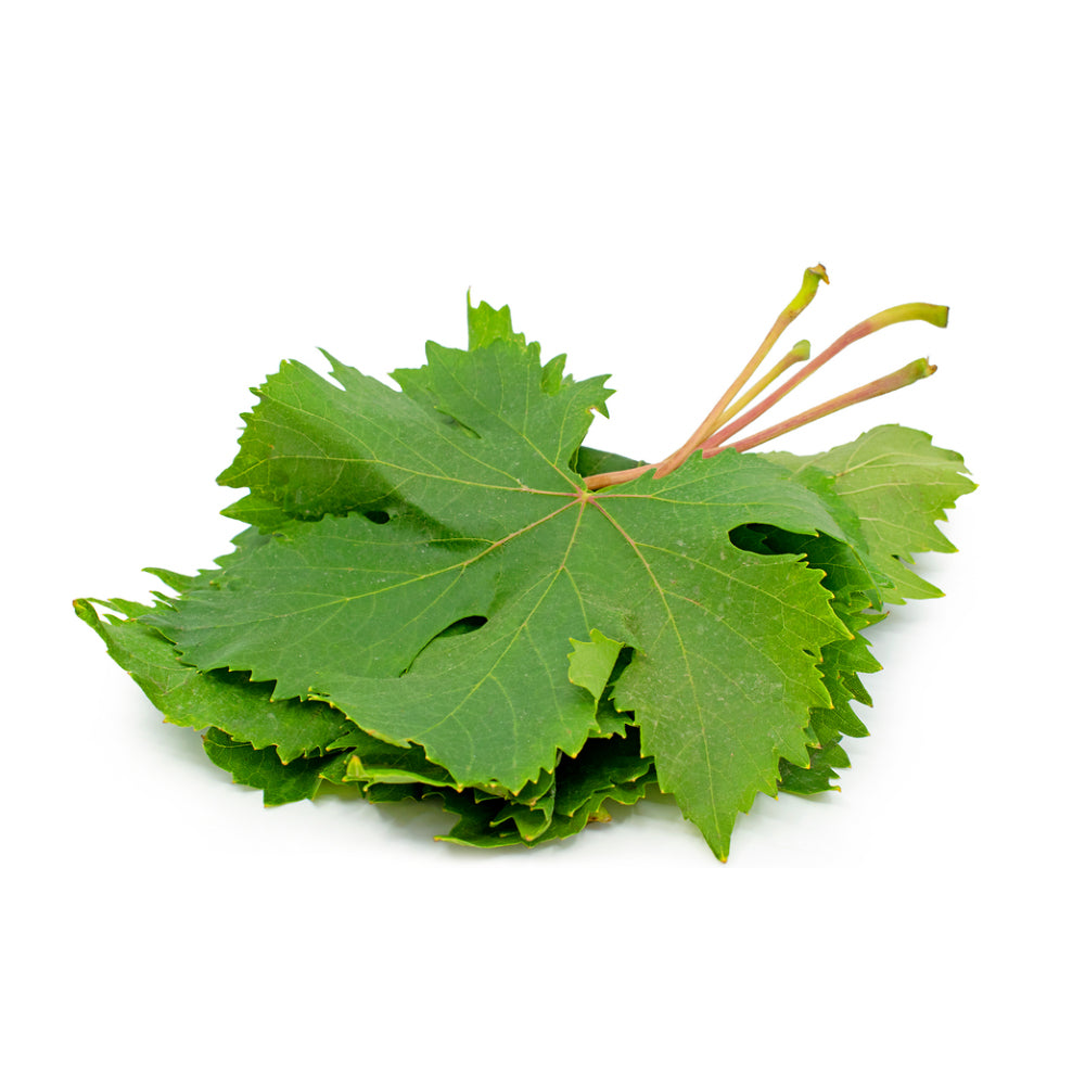 Vine Leaves Lebanon 150g Pack