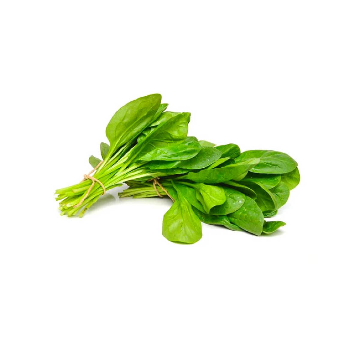 Spinach Leaves Uae 1 Bunch