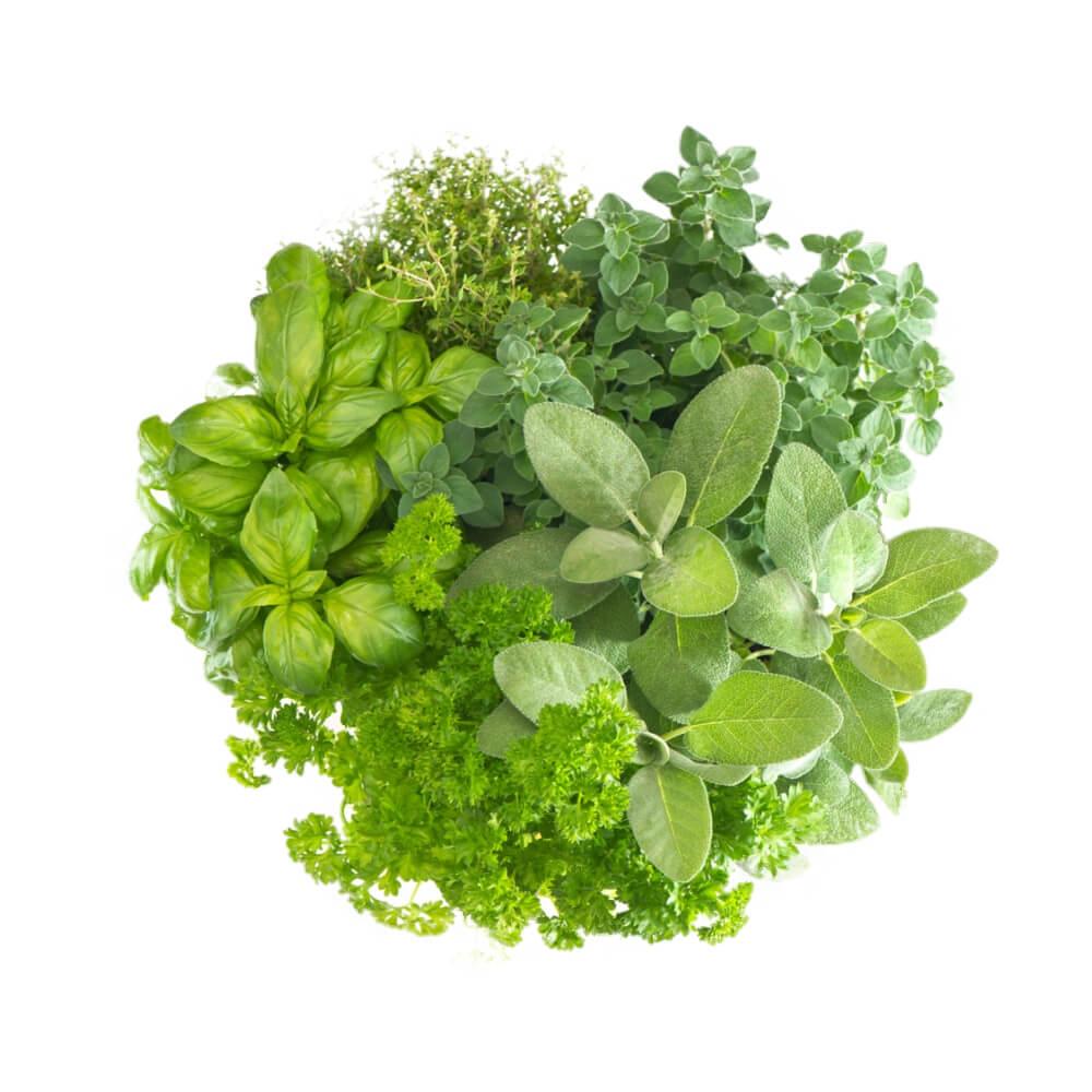Fresh Leaves Uae 1 Bunch