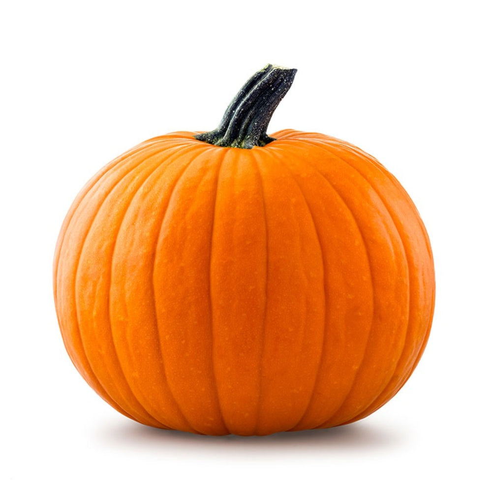 Pumpkin Halloween Uae 1-1.5Kg Piece