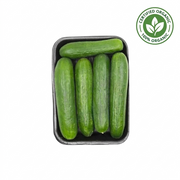 Organic Cucumber UAE 500g