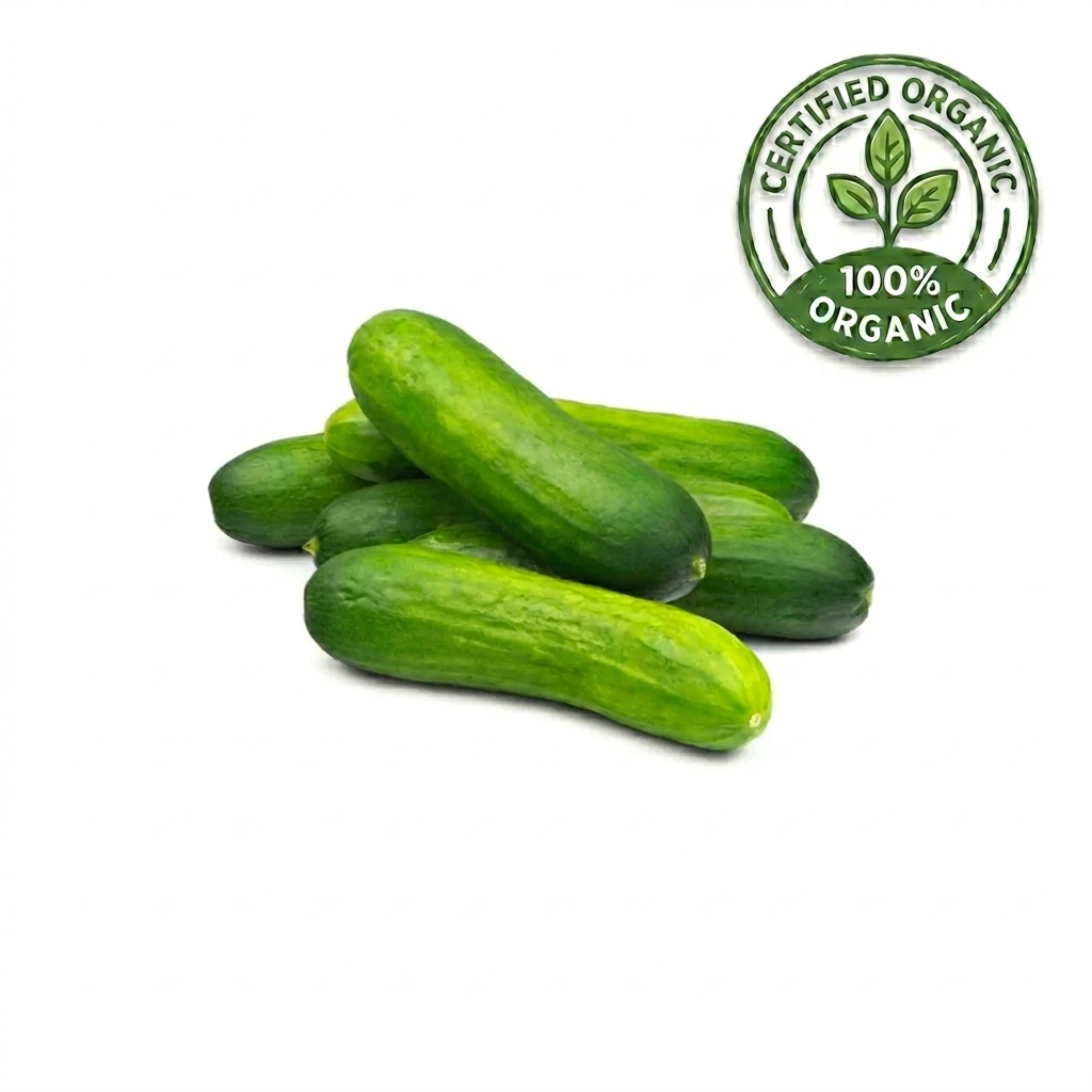 Baby Cucumber Organic Uae 250g Pack