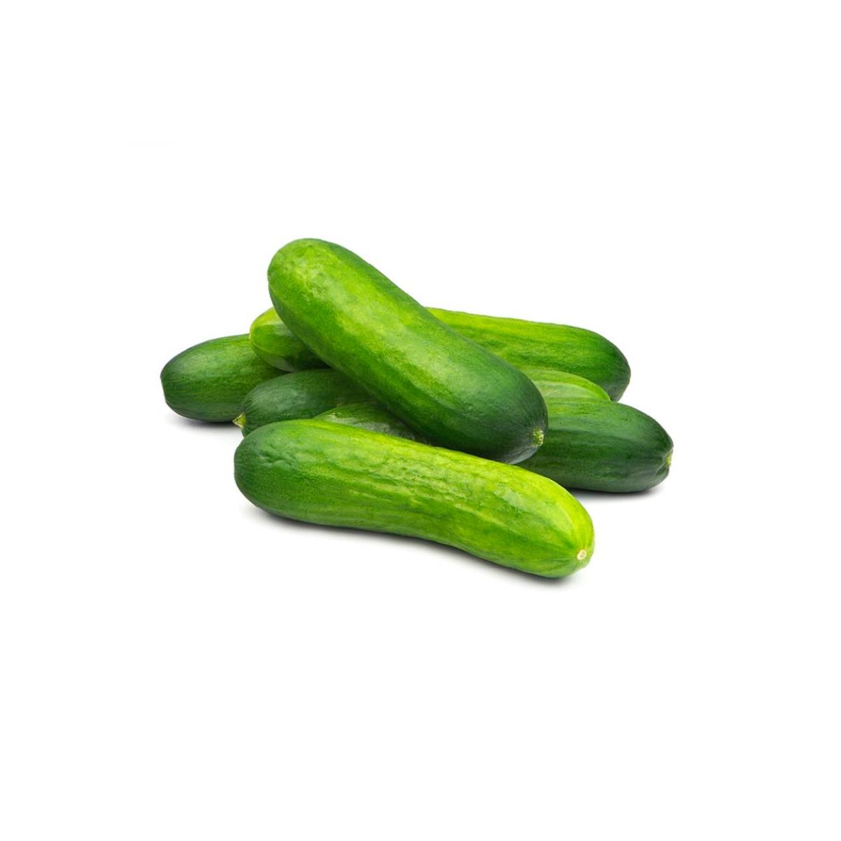 Baby Cucumber Organic Uae 250g Pack