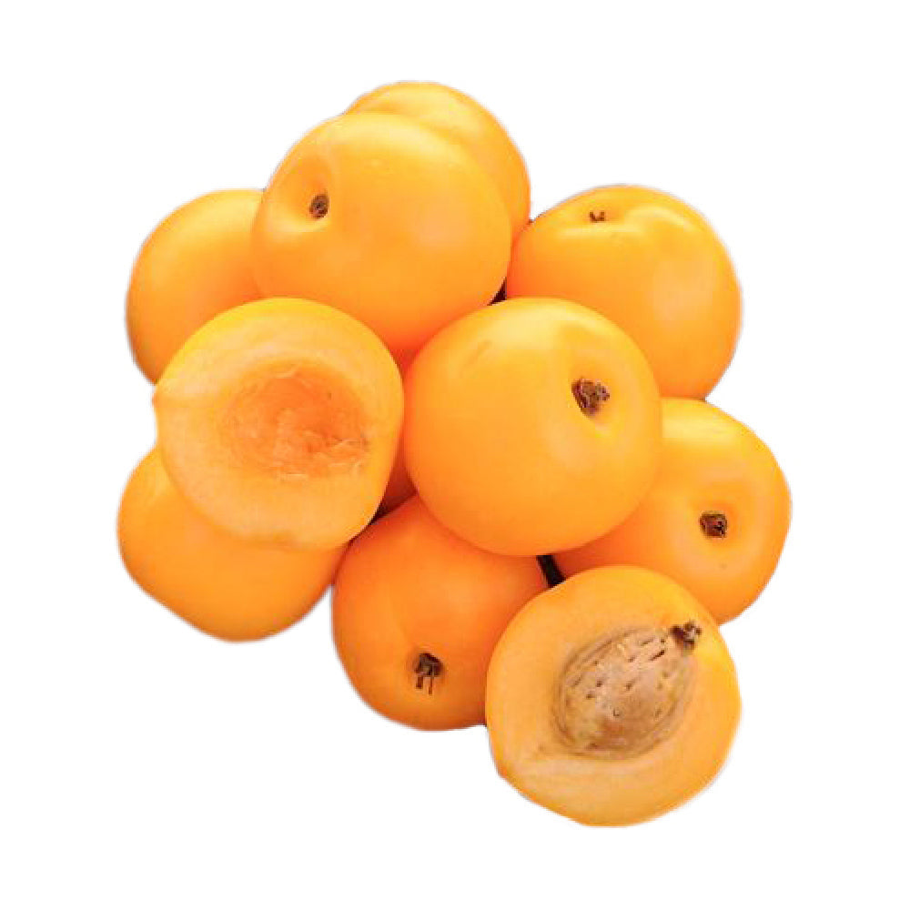 Nectarcot South Africa 1 Kg