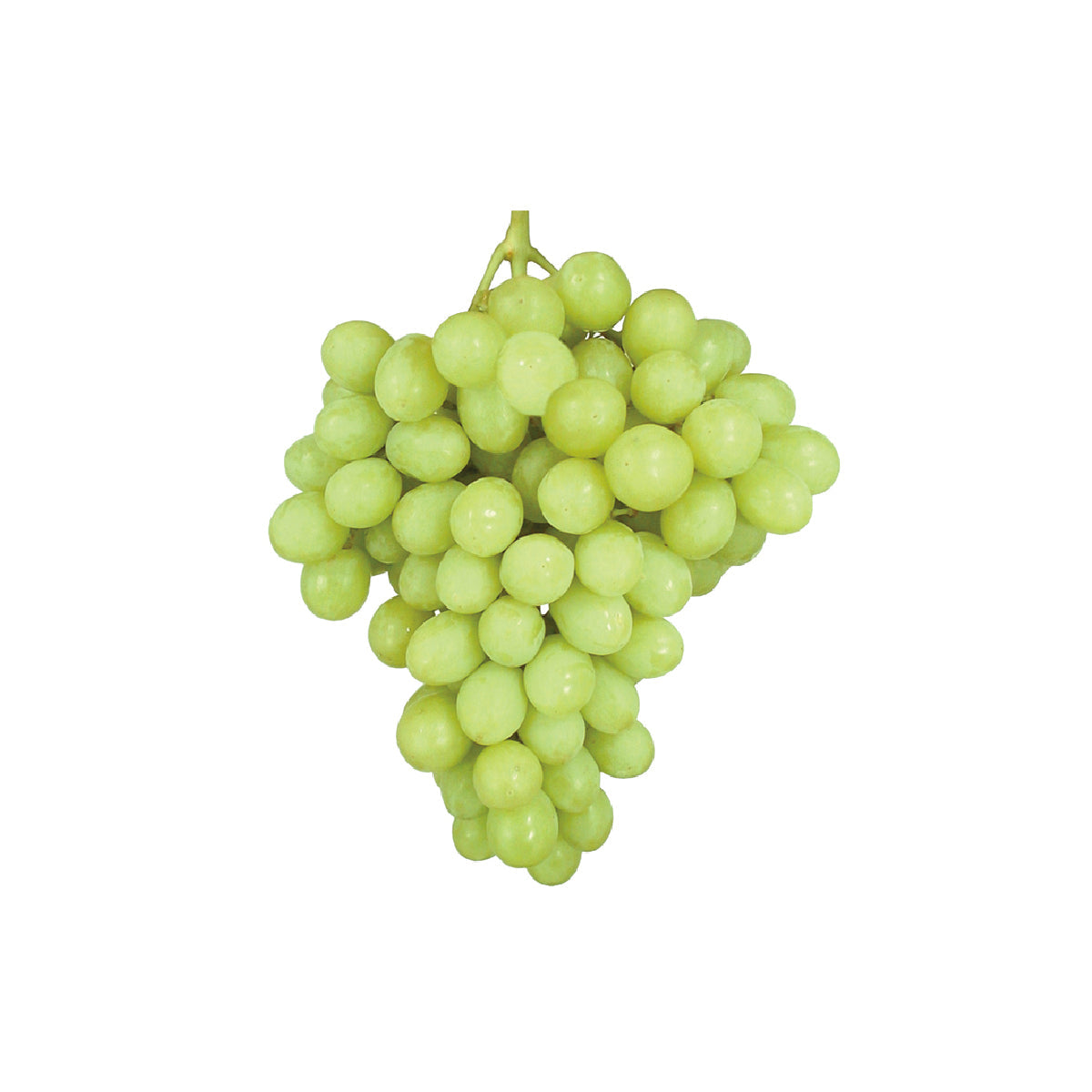 Grapes White Mr.kk/autumn King Usa 1 Kg