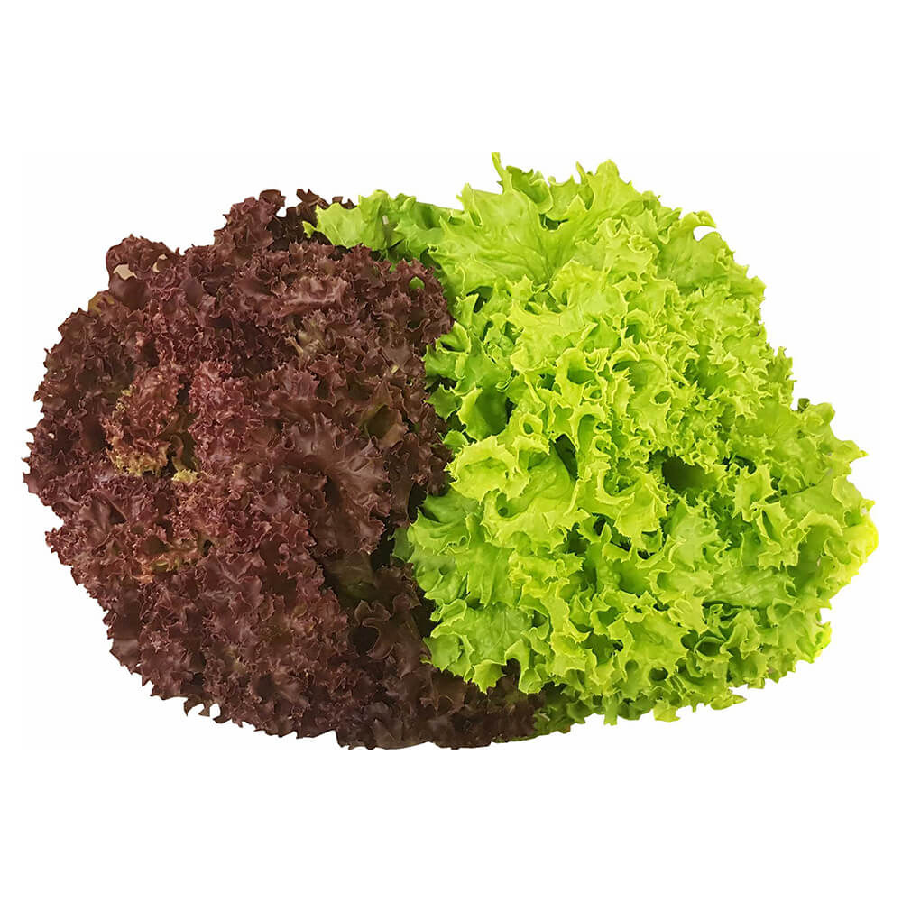 Lolo Mix Uae 125g Pack