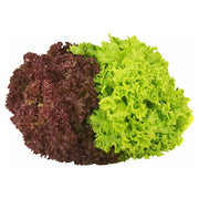 Lolo Mix Uae 125g Pack