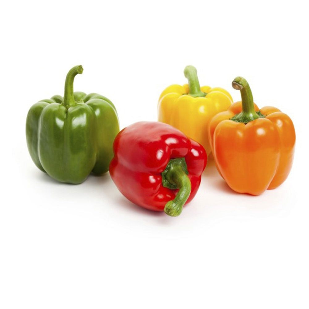 Capsicum Mix Uae 500g