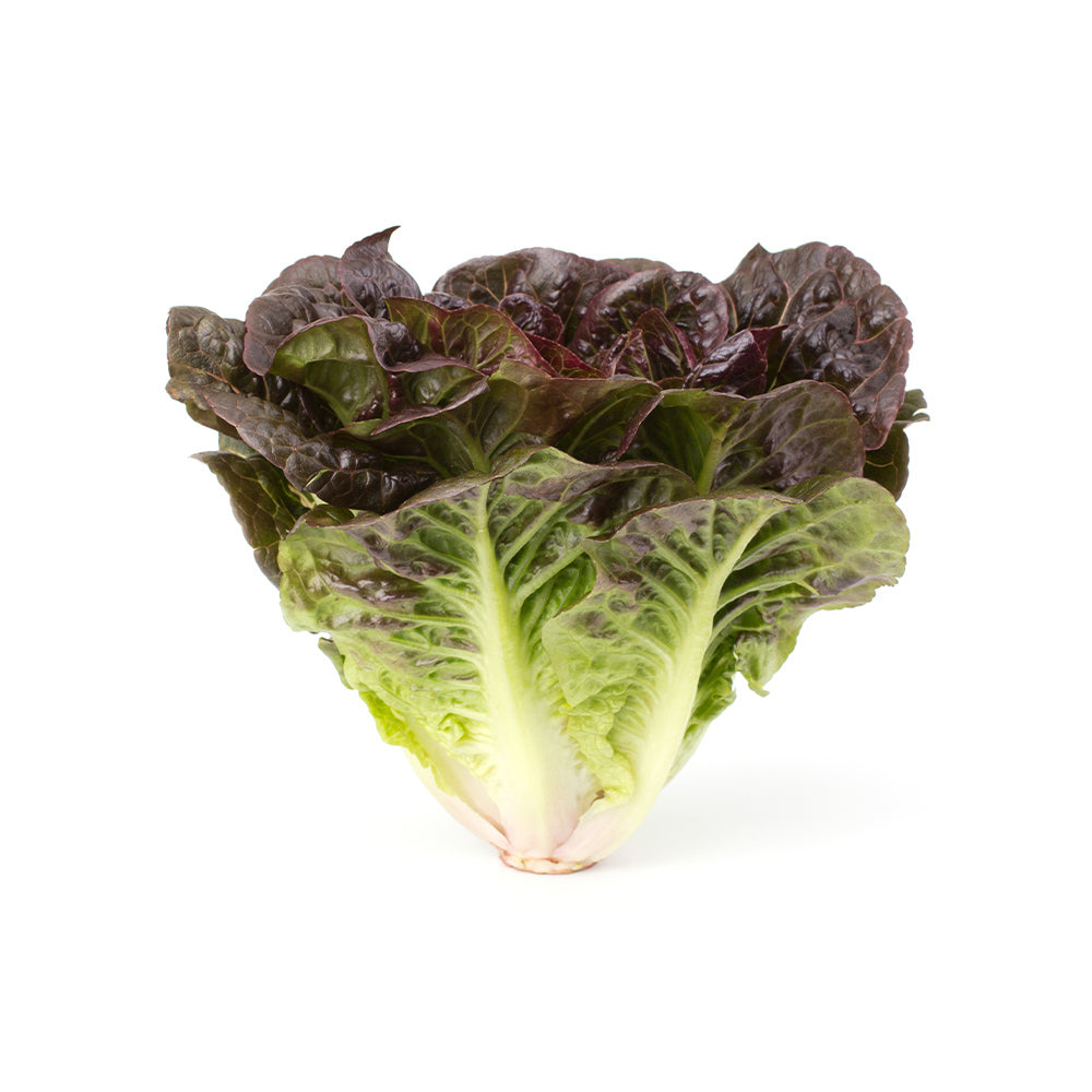 Lettuce Oakleaf Uae 125g Pack
