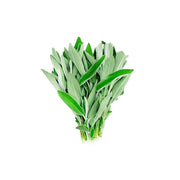 Fresh Sage - Merame Jordan 250g