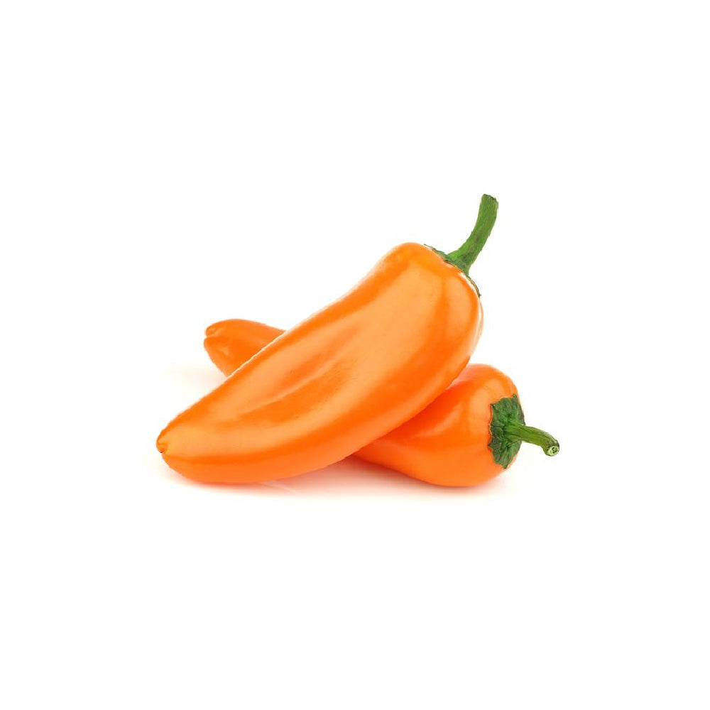 Capsicum Orange Mini Uae 500g