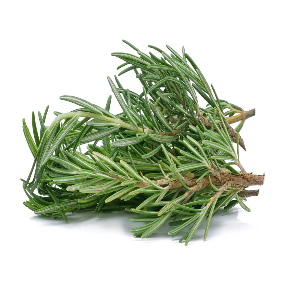 Rosemary Uae 50g Pack