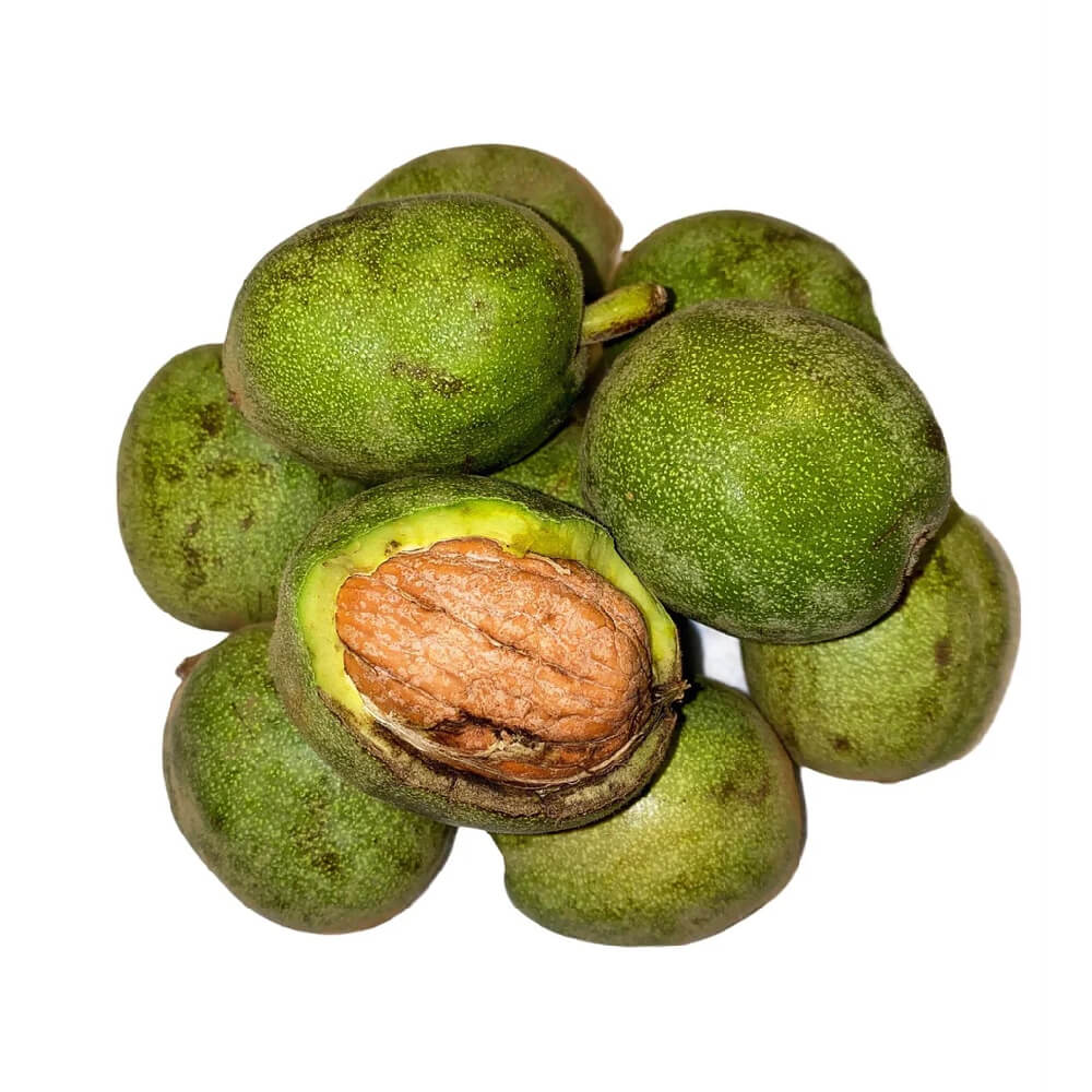 Fresh Walnut Iran 1 Kg